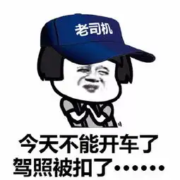 蘑菇头对讲机表情包开车