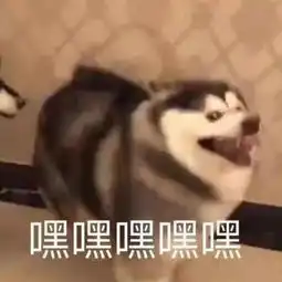  你朋友都干过什么沙雕事差点被评论笑过去...