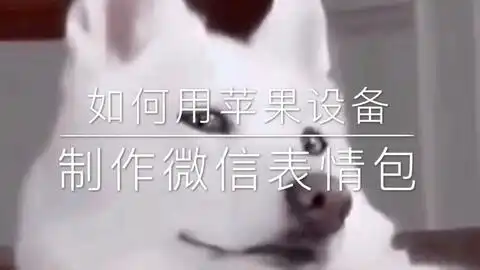  如何制作微信表情包苹果设备自带功能配音教程