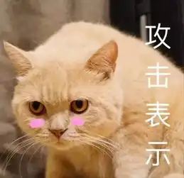  日常吸猫来不及解释了快上车