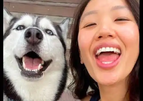  哈士奇做什么表情主人也跟着做,不能说完全一样,可以说很神似了