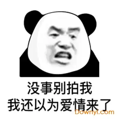  微信拍一拍表情包最新版下载微信拍一拍表情包图片大全下载免费版当易网