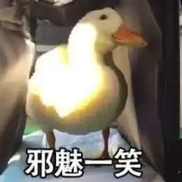  比心鸭子全套表情包分享