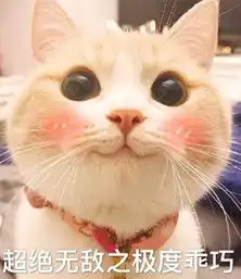  网红猫bobi表情包下载网红bobi猫表情包高清无水印极光下载站