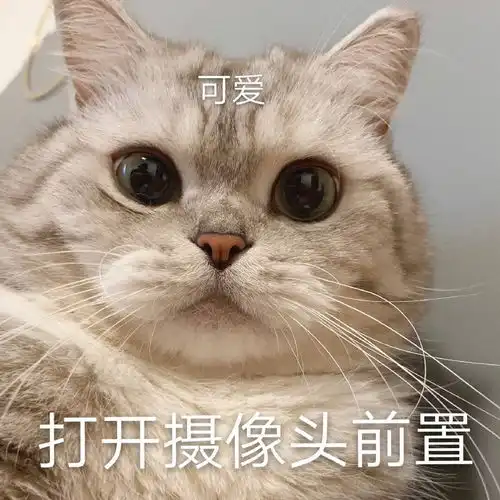 可爱搞怪的动漫表情包沙