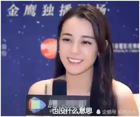  5年拍了10部倒追别人的剧迪丽热巴回应挺没意思的
