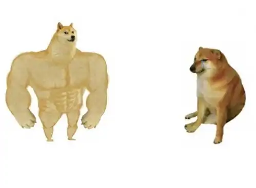 柴犬表情包cheems天堂