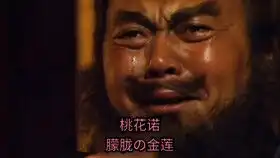  一首好听的抖音神曲桃花诺,感人动听,触人心弦