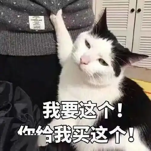  陈萌萌沙雕表情包