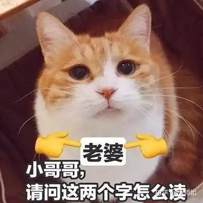 怀疑的眼神表情包做梦