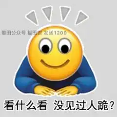  花式下跪表情包丨小黄脸花式下跪表情包丨这是你要找的花式下跪镖旗包吗