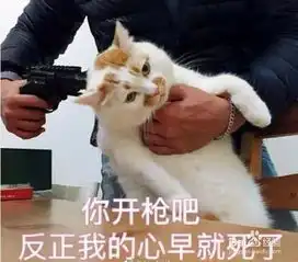  绝地求生刺激战场空投规律开局多久会有空投
