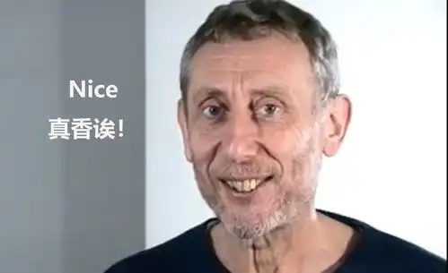  原来如此,说nice表情包的爷爷是他