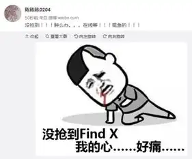  微博网友太有才没抢到findx发表情包泄愤