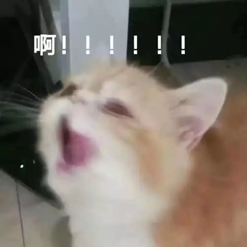  沙雕聊天表情包姐妹一起拉屎吗