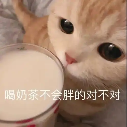  表情包妈呀,工资到账了