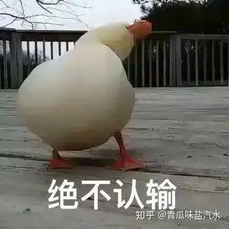  你见过的沙雕文案top1是哪个