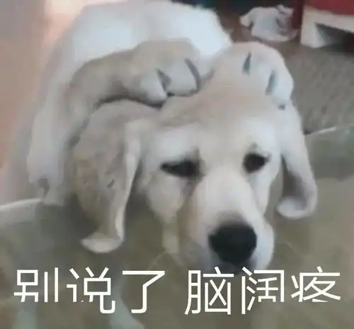  委屈喵汪表情包