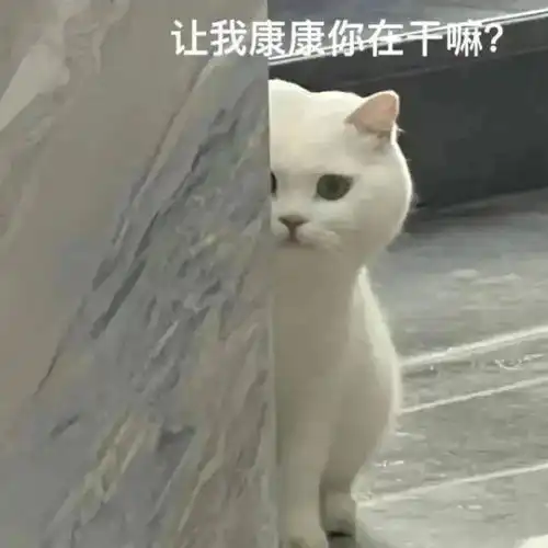  又美又飒这些女孩太猛了