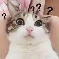 谣言