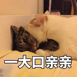  二团马上要去快本,临行前有什么嘱咐吗