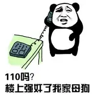 喂110吗我要报警表情包q