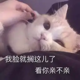  搞笑段子你放心吧,我们又不是一两岁的小孩子