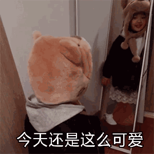  热门表情包图片动图gif