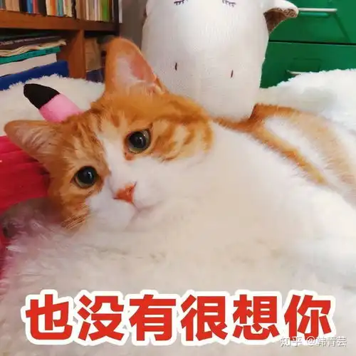  喜欢的男生问你在干嘛怎么有趣的回答
