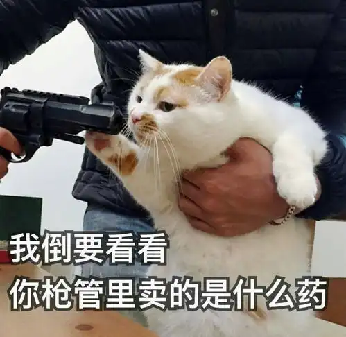  埃及法老墓惊现喵星人