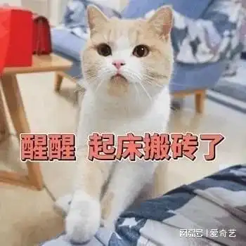  明星乐队在线叫醒尚雯婕飙高音唤醒赖床王者