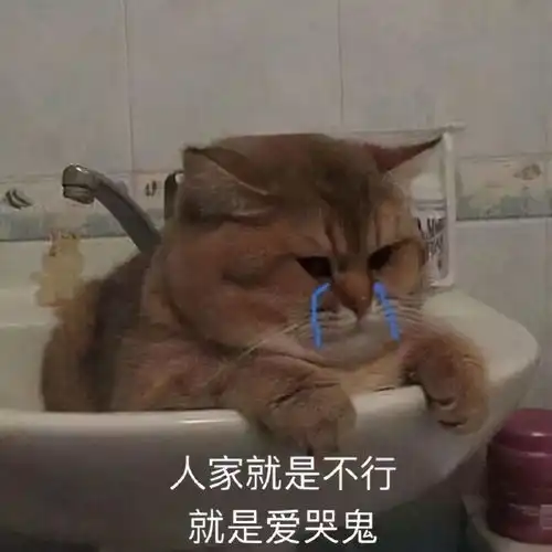  斗图表情包合集你的小宝贝不在,你爹在