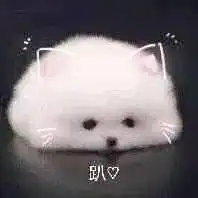  有没有表示安慰对方,心疼对方的表情包