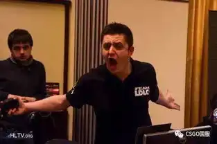  csgo赛场上行走的表情包电竞憨豆apex