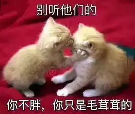  朋友圈大型翻车现场,个个是戏精哈哈哈哈哈哈哈哈哈哈