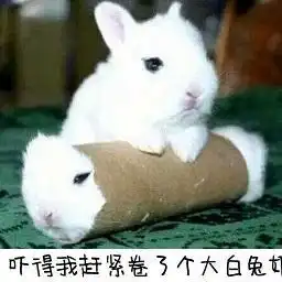  表情包你们先打,我吃完饭就来
