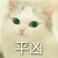 超凶的猫咪表情包