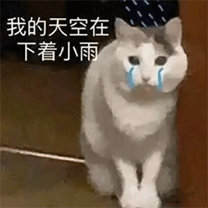  微信可爱聊天表情包宝贝长宝贝短宝贝没钱又不管