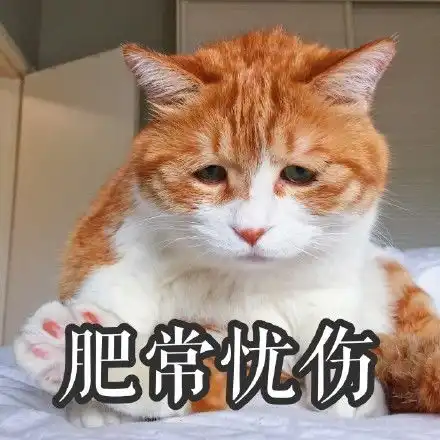  丧猫表情包高清无水印版