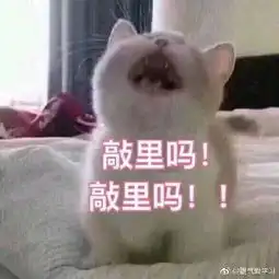哦豁表情包无水印备胎