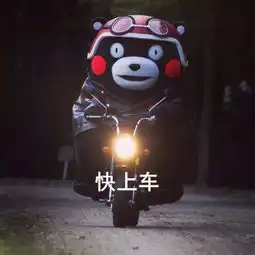  大家有帮忙找一下熊本熊这张照片清晰版的吗谢谢,重酬