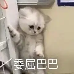  观海杂话铺从不懂文学到天上飞,各个年龄层上网都在冲哪片浪