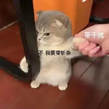  我中国猫可不是好欺负的第289期喵表情