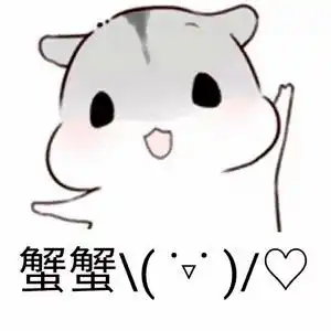  独数e帜未来创客saf大学生间隔年赋能计划介绍
