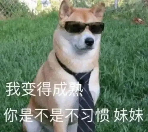  幽默笑话主人不挂科为大,我们的爱情算什么