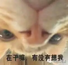  送宠展门票你在睡觉时,你家主子在做什么