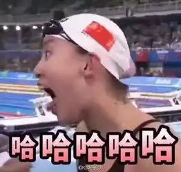  孙杨夺冠,傅园慧实力虐汪炎夏的一股泥石流