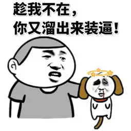 表情包管理员,我的妹子呢是不是不想干了