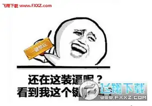 扔王者荣耀的表情包禁玩