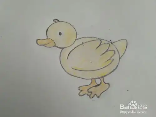 简笔画鸭子表情包厦视新